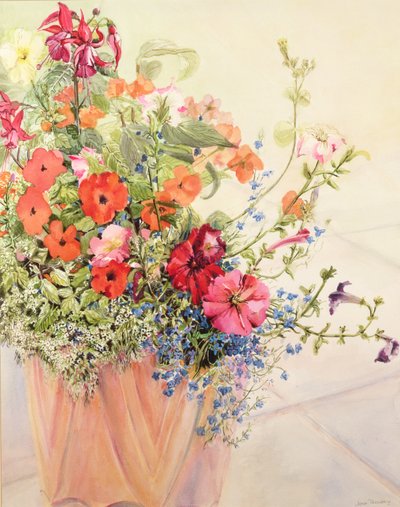 Petunie, Lobelie, Impatiens e Fucsia in un vaso di terracotta da Joan Thewsey